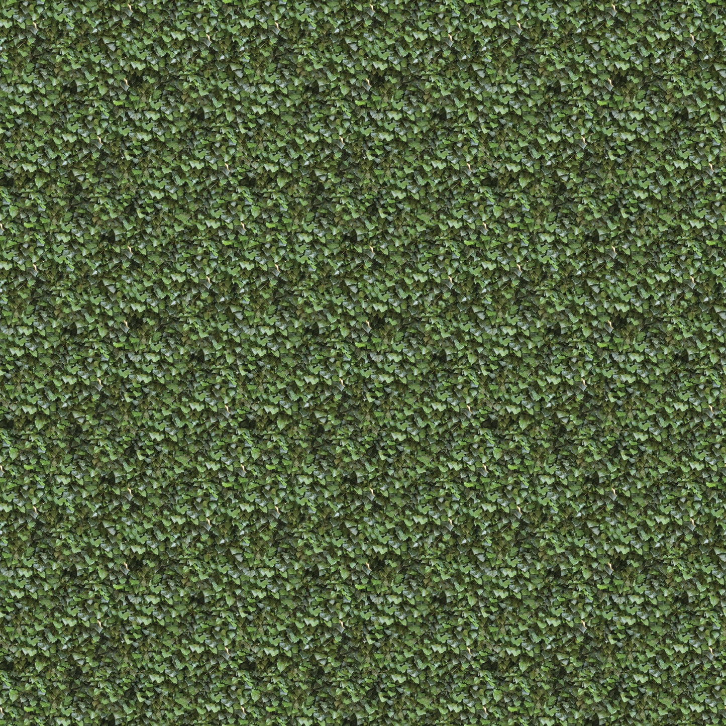 4x4 Printed Acoustic Wall Panel - Greenery W44001